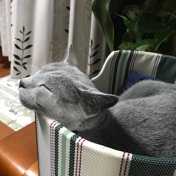 4c5f736b f5f2 4d6e 9c60 f803e2a18f6d 1525605693455