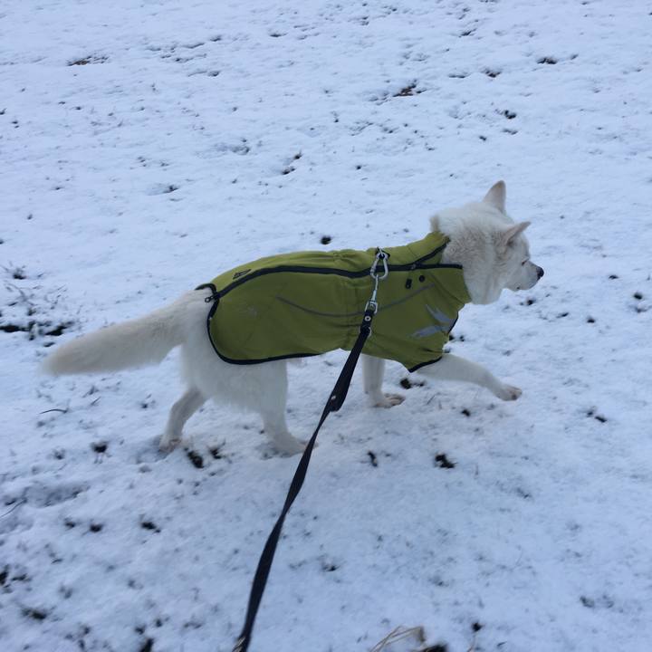 4c5f80c1 cacd 41d9 b48f a74ed55a0e93 1518410764586