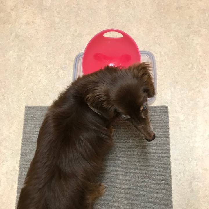 4c5f8d55 965e 4eed 868b 3633291bb64e 1535109258213