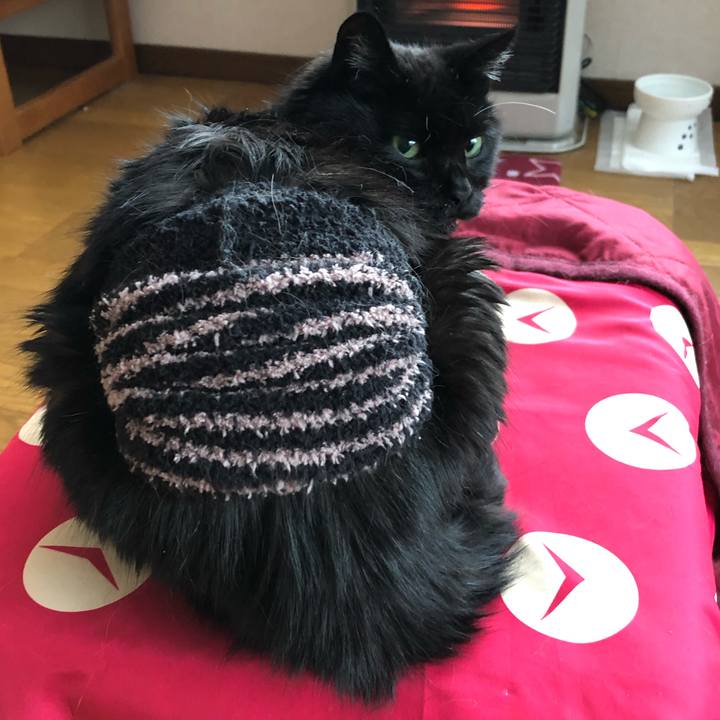 4c5fa375 9203 4604 b04a 694312433e10 1638685760459