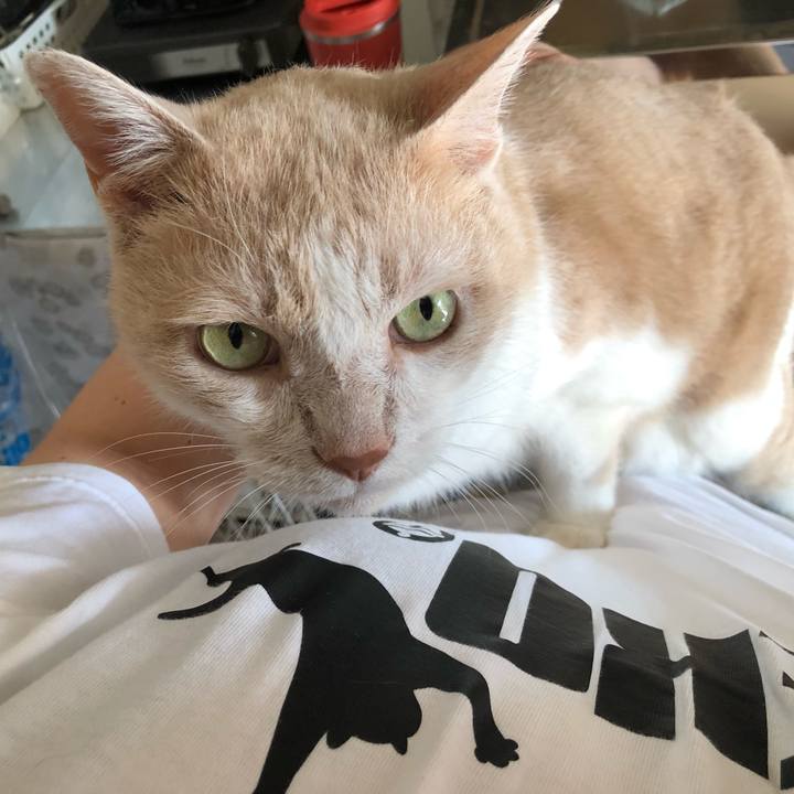 4c5fc52d 8891 472f a0e4 438e8a9c26ee 1626993843192