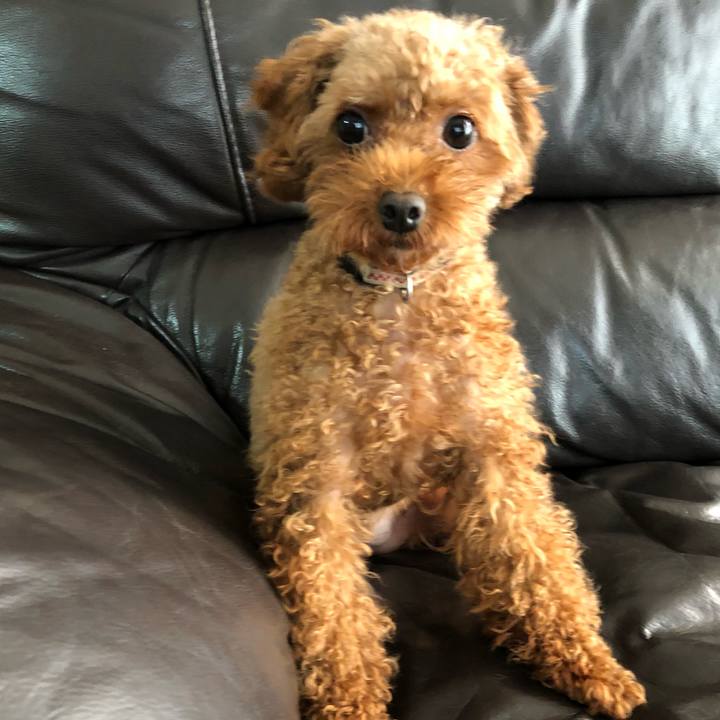 4c5fd4c9 c95f 49ed a670 87f3fadc25bf 1539996183520