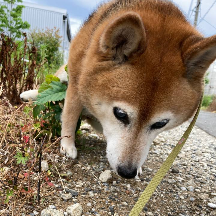 4c5fe68c a30b 4160 95cf b2212a7fb17d 1715502481576