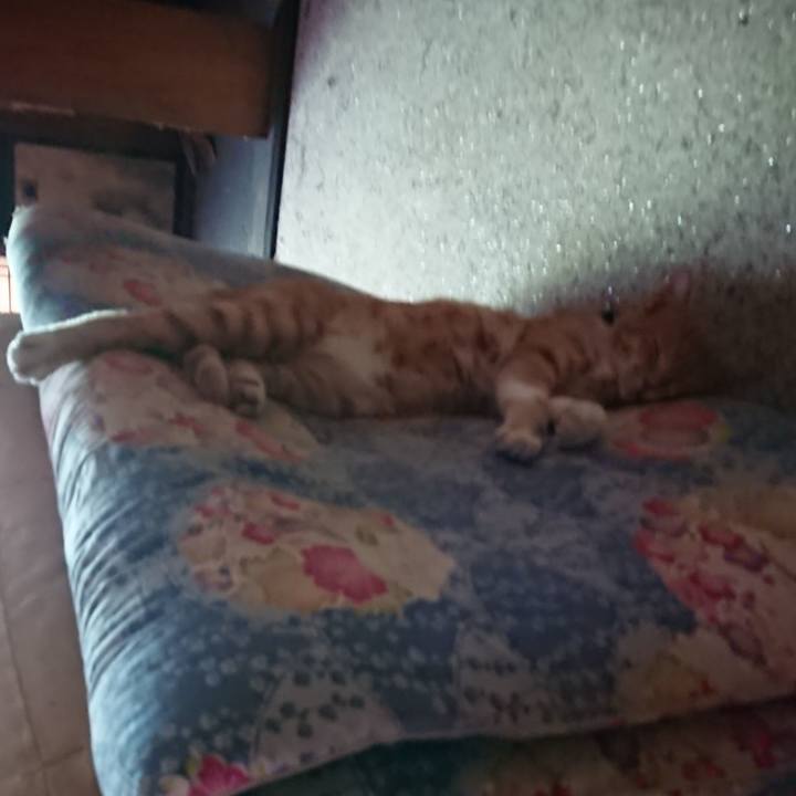 4c60209a 6870 4ef1 9791 330acd5a7758 1598672532171