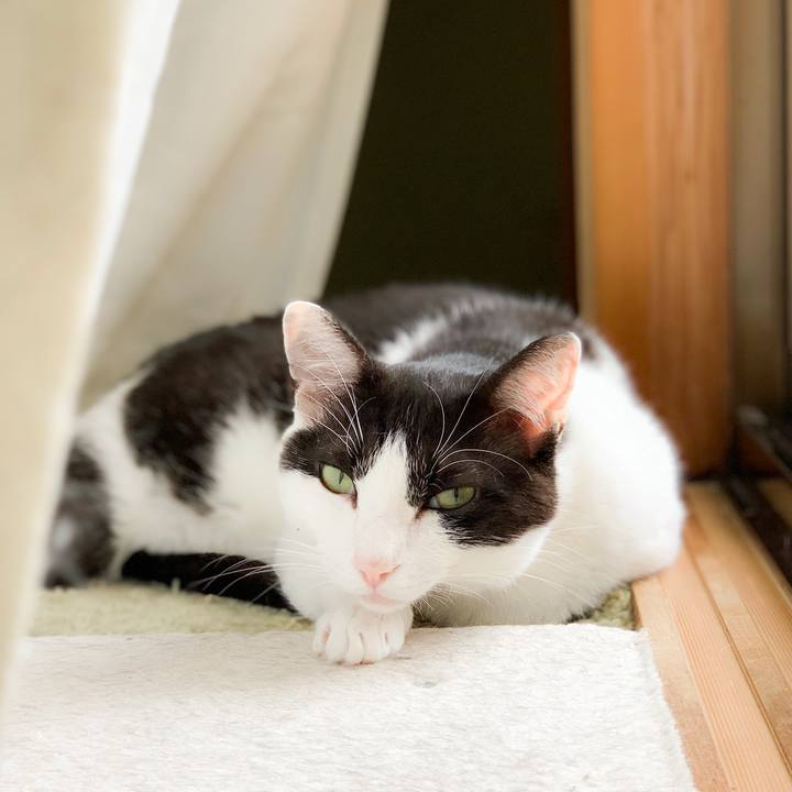 4c6033b7 fe01 49a7 81a6 2ee89fbdbec7 1565921178891