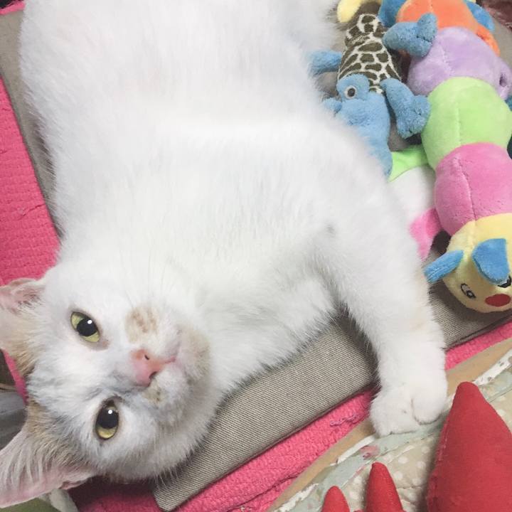 4c604756 e88b 4456 855a 1f9072c55a56 1575192024351