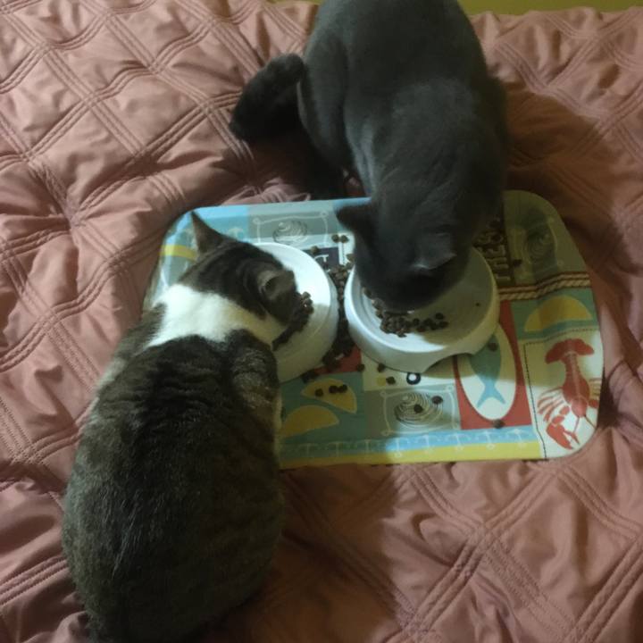 4c60b889 eeca 40e6 a6d7 2c582b5d77fb 1633048590563