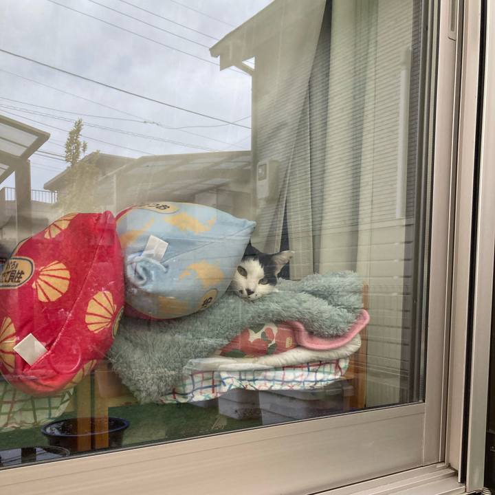 4c60e0ae c17a 4e95 974e 0453af02c750 1772180745184