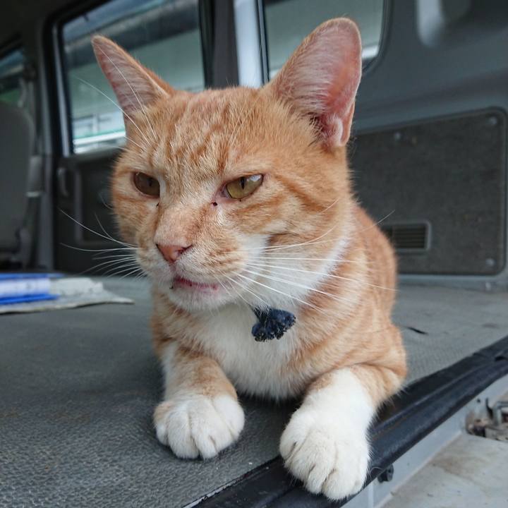 4c6104a7 0d46 42ee 94e8 9901d48d3fde 1566291476210