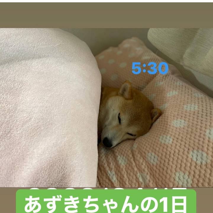 4c611bc9 5b3d 4f2c 83cb 3c2ca42cd45a 1741649108502