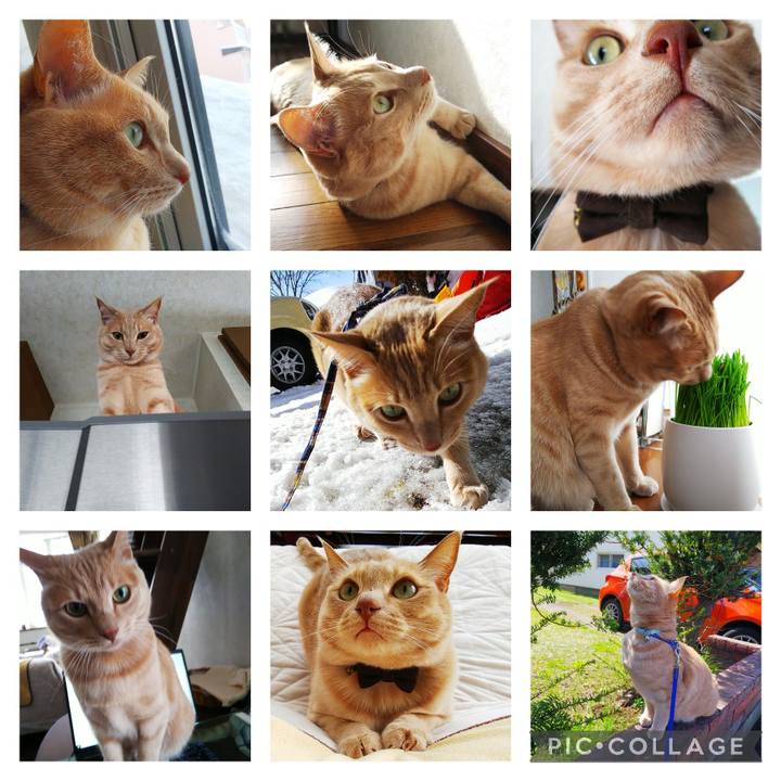 4c6131a2 07a9 4734 b921 68b49d261676 1640997347693