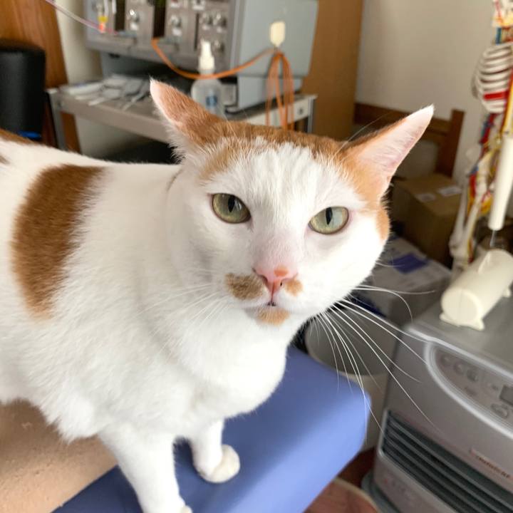 4c6149bf 5688 4c61 a0c3 cfa7be647df9 1593855426934