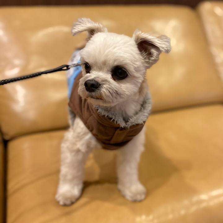 4c615665 5b1c 424c b220 b585211ead48 1579683255977