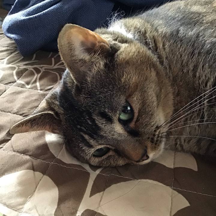 4c6159b8 a01d 4516 bbfb 360aba47db50 1745583394768