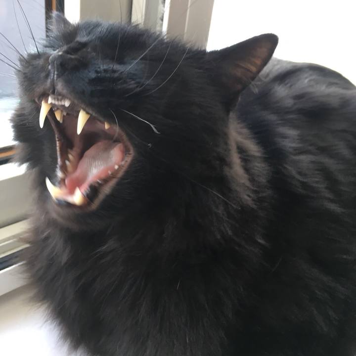 4c617359 ea93 45ee b1b8 c30c82378412 1514701112767