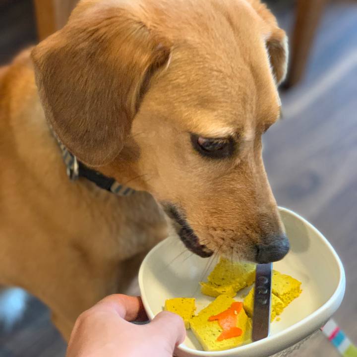 4c6179d8 18f5 4d9d bd9f 8a1f88bab508 1561120258888