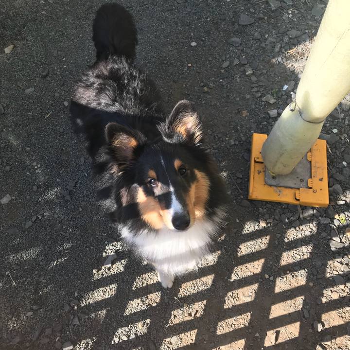 4c61a065 19a9 4e56 84ec 26fe10234448 1527545634236