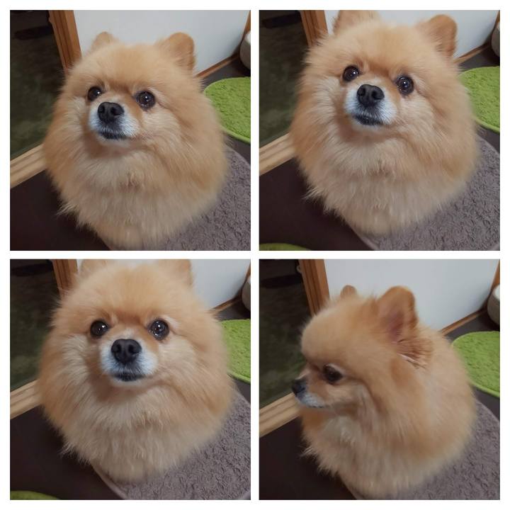 4c61a4f2 6381 4263 9ab7 118810df816a 1558355438071