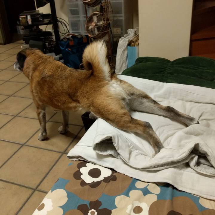 4c622668 b27f 4569 bad4 9530421b65ad 1716256087792