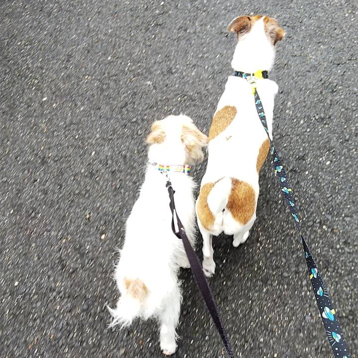 4c62369f 7054 48d1 8a6f 4990aa4eadef 1530948288823