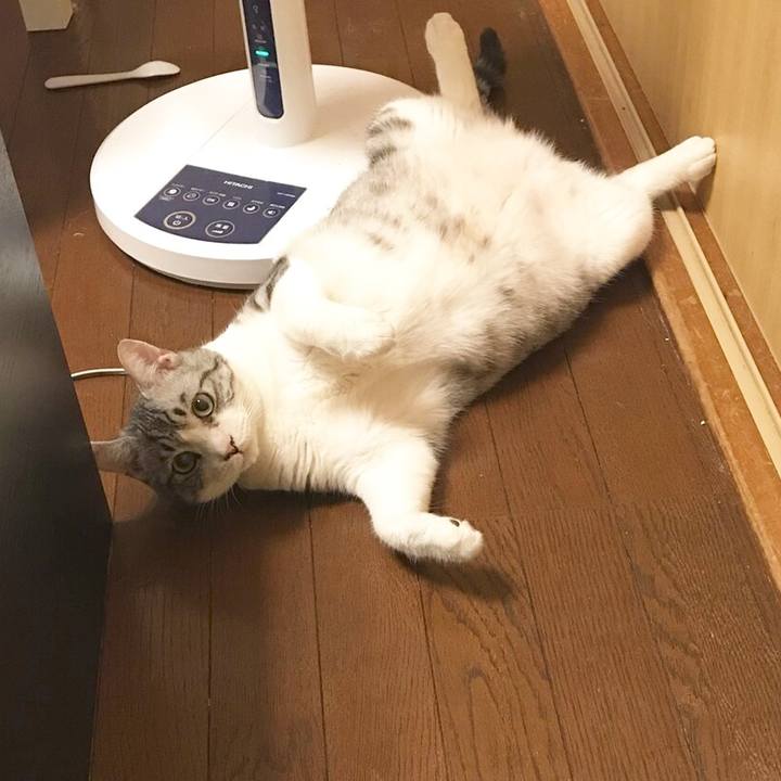 4c6273ee 48db 4b6c 9035 cfc74682d91a 1535116898382