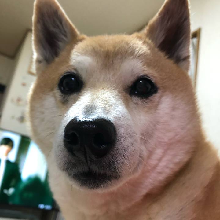 4c62c421 9611 43b1 b2a4 85ff29f1690b 1586265625632