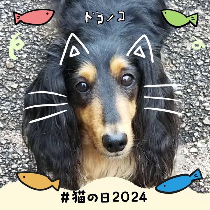 4c62dbc7 0946 4731 8b8a 660b47907d87 1708602363037