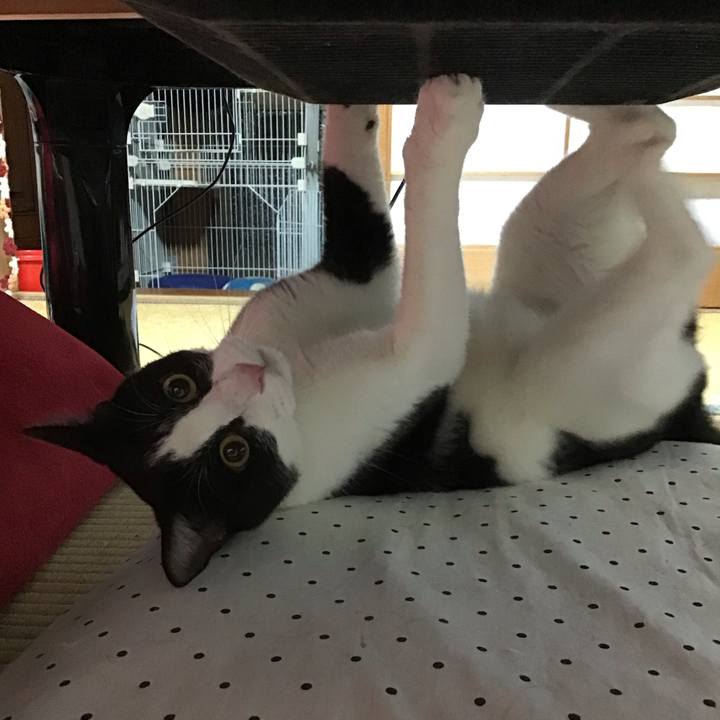 4c62eb82 24c4 42cd 98f4 24d1b7bd5cf4 1688130202788