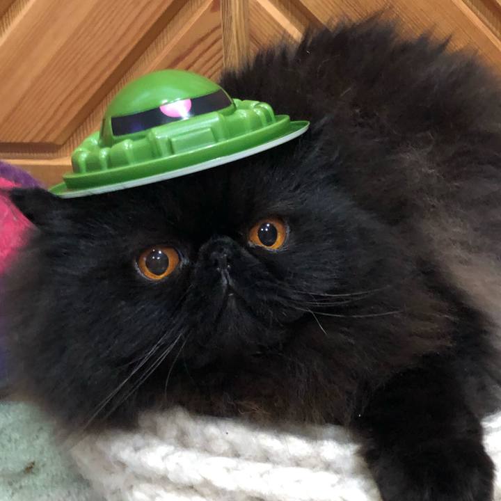 4c63285f 2c75 4284 a231 f89aa98aaa7d 1593849075410