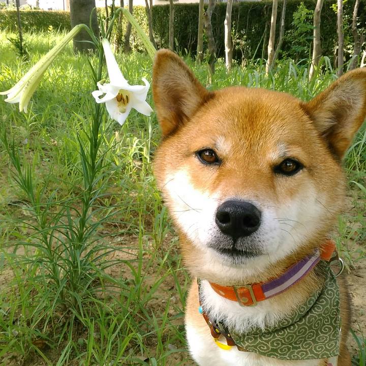 4c634078 61ec 4384 b9d1 a4ba05d5d119 1534380078438