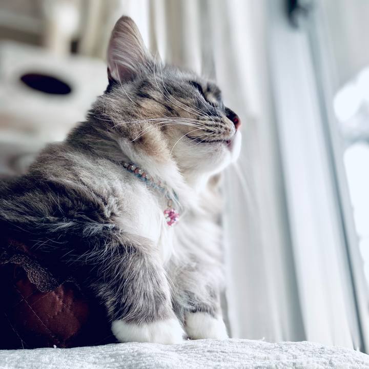 4c6363c6 bb0f 4e86 9cc3 4edeaf2e3a17 1755830719382