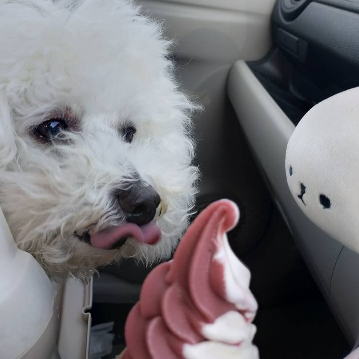 4c63bc2d 88b3 4d32 8405 0882b162c79b 1761795910655