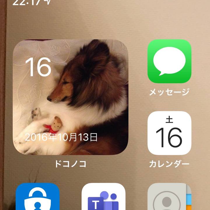 4c63fbb6 f28a 4823 99eb 1a524cf4af1f 1634390789291