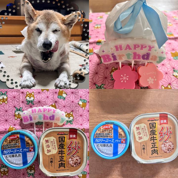 4c649086 a629 4fb0 b55f 295824136e7c 1762959897568