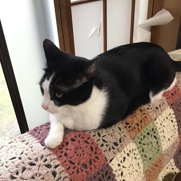 4c6493a9 6bdf 4743 820e 8d072bd9e6e1 1682078059109