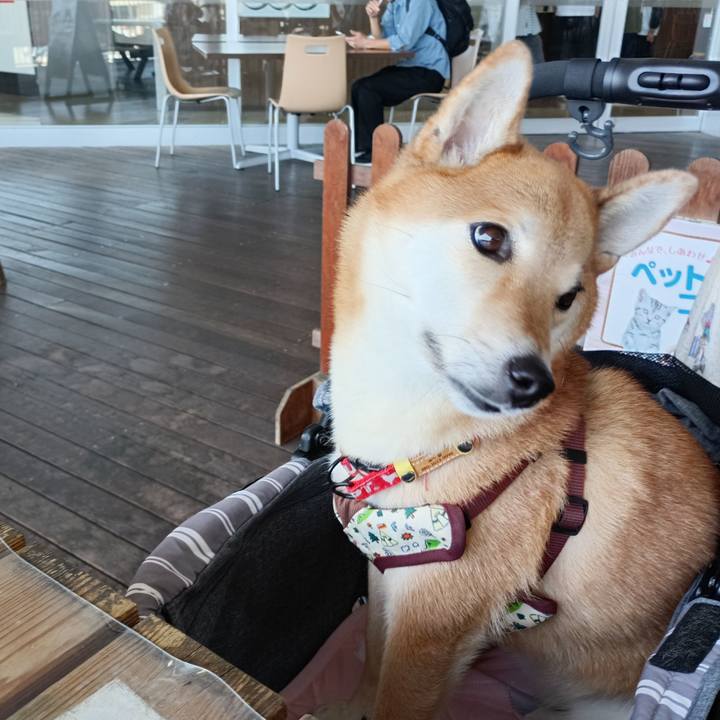 4c64b73e c9a9 40d0 b173 ccd636f8fdac 1760855509955