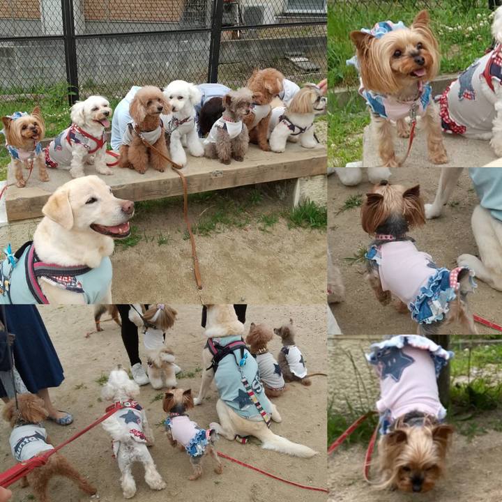 4c64b92b 4bfe 4ecd 9b3c 359773bd14d9 1624955648300