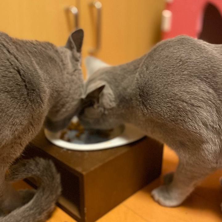 4c64c3b5 fbd9 402b 98ea 11bd9749a770 1641947215250