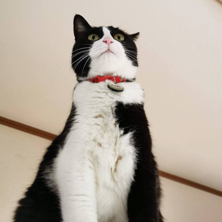 4c64df93 6b10 4526 bc7c 5dc44ff4b3fd 1678852881378