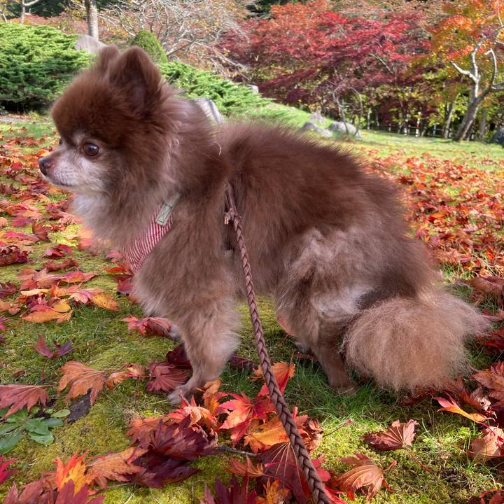 4c651f48 1cfe 4110 8496 898e371524c5 1666411727022