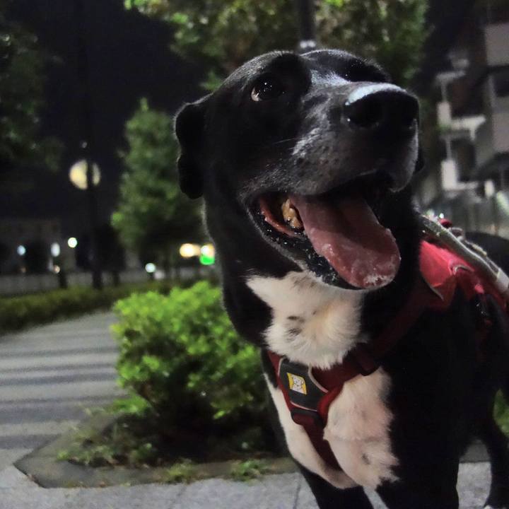 4c652eb8 c28c 44d0 800c d04ea6b2ba48 1665311925979