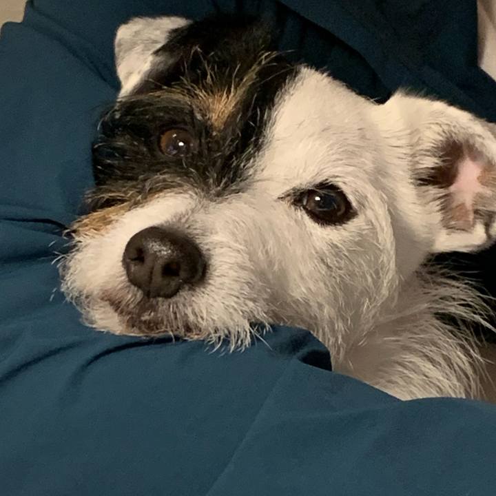 4c653cbd 1e1c 44fb 8968 eabb676c7152 1650792018301