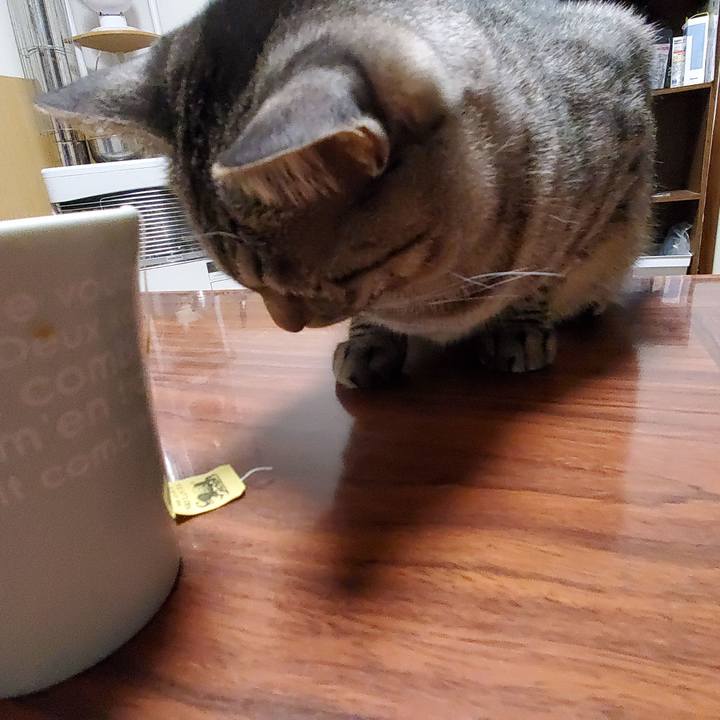 4c65645a 3e31 41bd 9a27 f0add9c34fd8 1708967333134