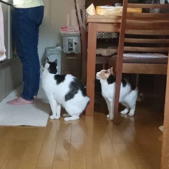 4c6598b6 97fd 488b 87ad 9e75982af302 1724232719593