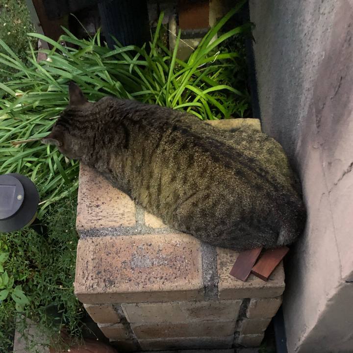 4c65a946 31b8 433c beef cbbe4d82594a 1566213232680