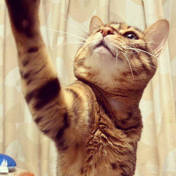 4c65ba30 b83b 439c b2ec ead6c84797a8 1634340427574