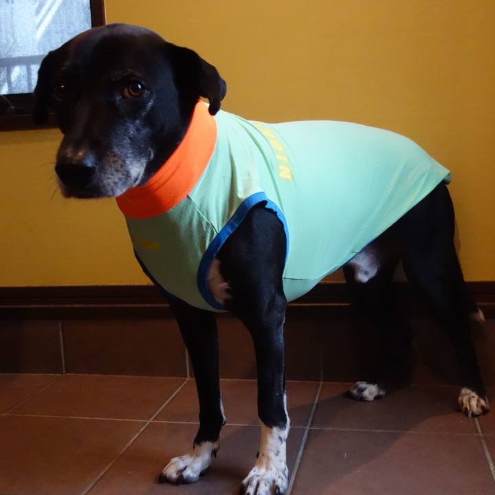 4c65d5f7 ecd4 4709 9039 de4b2697360e 1734049470785