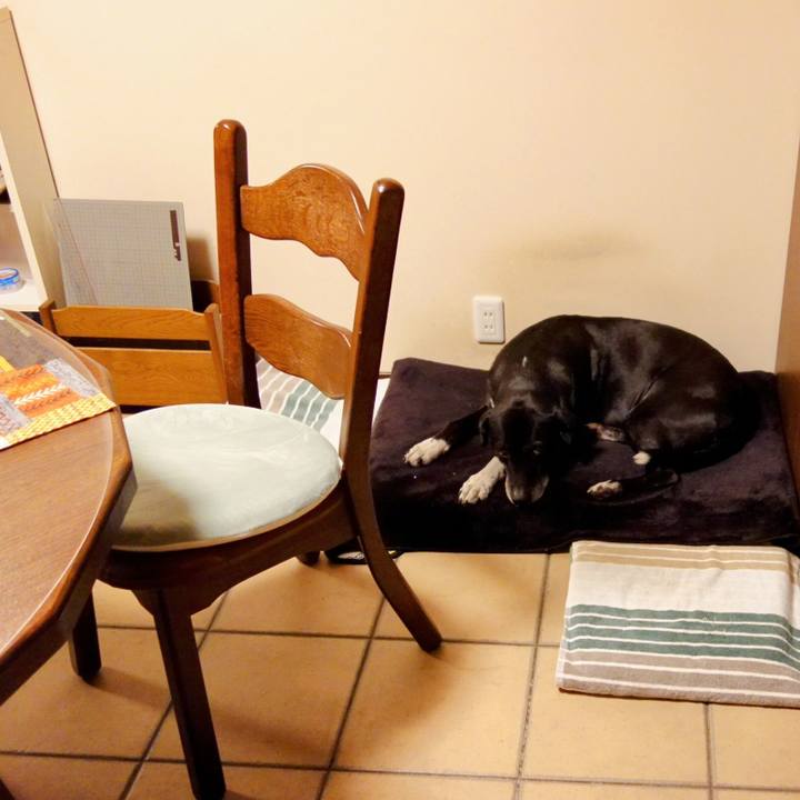 4c662358 7583 469c beb9 f77cd472653b 1735988564882