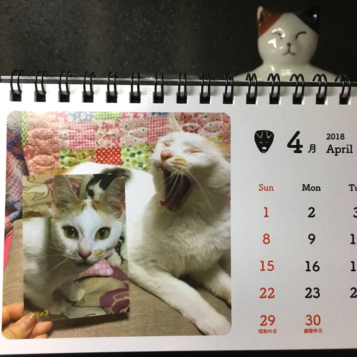 4c663b58 090b 4b04 9b45 4a940fcea02f 1523111074086