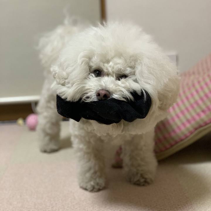 4c67140f df77 4cf9 af63 9b3a0f394c29 1642935154980